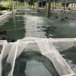 LINE_ALBUM_20221124台湾仕事関係_230926